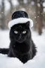Placeholder: eine schwarze katze im schnee mit einem hut auf dem kopf