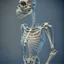 Placeholder: skeleton of an alien creature, anatomicaly correct, 8k resolution, photorealistic, ultra detailed