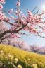 Placeholder: The real season when peach blossoms and rape flowers are in full bloom. Spring, sunny day. 8k ...