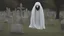 Placeholder: large ghost in the graveyard