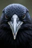 Placeholder: Storm Crow. Close up portrait. Afraid to fail, afraid to dive within. But still smiling.