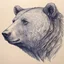 Placeholder: sideview of bear head, extreme low detail sketch with strong contrast, use 70s cartoon style, monochromatic outline stamp technique, indigo ink on creamy paper texture