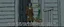 Placeholder: Maya is standing in the doorway with one hand still on the handle. She looks surprised, but not frightened. The zombie is wearing an old brown coat with patches on the elbows. His shoes don't match. What's surprising is that he's carrying a bunch of wildflowers. One of them has slipped from his hand and landed upside down on the porch. The rain is falling everywhere except on the flowers. That's a little strange.