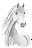 Placeholder: outline pencil art of a cute horse