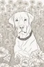 Placeholder: Portrait of a golden lab in a lively field of marigolds, mature coloring artwork, contour, vector, clean line art, white background, detailed, black and white, in the style of kalamkari design