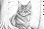 Placeholder: Norwegian forest, woodland- Pencil drawing, realistic, graphite