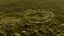 Placeholder: crop circles from aliens