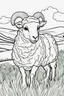 Placeholder: coloring page, sheep in a grassy meadow, cartoon style, thick lines, low detail, no shading