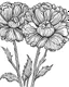 Placeholder: real massive Carnation flower coloring page