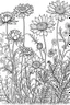 Placeholder: coloring book image of wildflowers