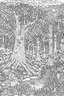 Placeholder: Enchanting forest with magical creatures, towering trees, and hidden pathways. Imagine a world where fairies, unicorns, and friendly woodland animals coexist. Coloring Page