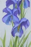 Placeholder: a painting of a blue iris by artist "Hiroshi Kobayashi"