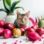 Placeholder: A cat surrounded by dragon fruits on a light background for removal