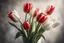 Placeholder: photorealistic 4 red tulips above and 2 white tulips down in a bouquet, soft lighting, sharp focus, rough edges in sunshine