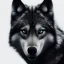 Placeholder: black wolf, black, masterpiece, expert, 8K, hyperrealism, sharp focus, cinematic lighting