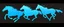Placeholder: silhouette of 3 different horses (Stallions) racing, middle horse at front, blue on black vector