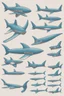 Placeholder: aeroplane inspired by shark with side view , quarter view and front view