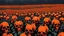 Placeholder: a field of 1000s of cartoonish, anatomically correct, skulls, vivid RANDOM BRIGHT neon colors, dark comedy, well lit, high detail, photorealistic, horrorcore, fun, scary, none featured, each a different color or hue,