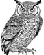 Placeholder: real massive big Owl, coloring page easy to color, full body (((((white background))))), only use an outline., real style, line art, white color, clean line art, white background, Sketch style