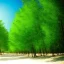 Placeholder: beatiful landscape picture on sunny beach whit pal trees