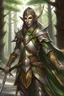 Placeholder: wood elf paladin