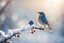 Placeholder: A beautiful colourful little bird catches a blue berry with its beak while standing on a snowy branch in sunshine, ethereal, cinematic postprocessing, bokeh, dof