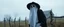 Placeholder: amish ghost dressed in amish outfit