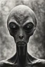 Placeholder: Black and white high brow photograph of a grey alien, film analog, dust overlay, eerie, high strangeness, surrealistic old photograph, mysterious,