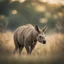 Placeholder: kangaroo rhino in long grass ,bokeh like f/0.8, tilt-shift lens 8k,*-