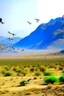 Placeholder: Flight are flying on dry mountain of Balochistan and raining there and birds are flying. Baloch are dancing