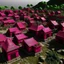 Placeholder: A dark reddish magenta village designed in Ica stones