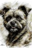 Placeholder: Watercolor Portrait of a border terrier in the style of Yoji Shinkawa, Guy Denning, Florian Nicolle, Willem haenraets.