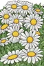 Placeholder: coloring page, garden of daisies, cartoon style, thick lines, low detail, no shading