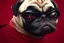 Placeholder: Darth vader as a pug