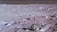Placeholder: A Tesla's 'Model S Plaid' is doing donuts on the Moon, at the landing site of the 'Apollo 11'. CINEMATIC. WIDE ANGLE LENS.