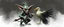 Placeholder: air brush 3d with pen outline, mongrel goblin gremlin holding big big bird with blurred shadow outline, charcoal fog border