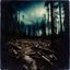 Placeholder: Photorealistic polaroid nothingness, old wooden forest, wasteland night Max Ernst, shot on Hasselblad, movie shot, details of the sky accentuated, nightmare, hypermaximalist, obsessive, hypnotic