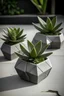 Placeholder: Create an image featuring a set of interconnected mini concrete succulent planters shaped like puzzle pieces, with succulents forming a cohesive design.