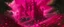 Placeholder: A magenta kingdom with hearts painted by Albrecht Durer