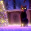 Placeholder: black Cat tangled up in christmas tree lights holiday