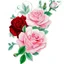 Placeholder: style INK, roses high contrast