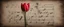 Placeholder: Hyper realistic red tulip on the side of a vintage paper with harmonica instrument & small musical notes with dark background