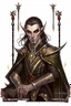 Placeholder: half-elf half-human, full length, mantle, black cloth, dark green eyes, sits on the throne, holding a long spear with his left hand, the right hand lies on the armrest of the throne