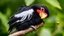 Placeholder: Close-up of a Sarcoramphus papa resting on a branch, with detailed textures of its black and white feathers, and its vivid red and yellow facial skin contrasting against the lush green background of the Andes.