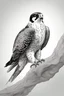Placeholder: "Create an AI line art piece featuring the Peregrine Falcon, half body short, front short, one of nature's fastest and most agile predators. Capture the bird in flight, showcasing its incredible speed and grace. Highlight the intricate details of its feathers and the intensity in its eyes, embodying the essence of this magnificent raptor."