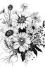 Placeholder: wild flowers bouquet drawing black and white