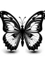 Placeholder: a simple black and white butterfly for kids