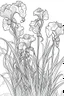 Placeholder: Outline art for coloring page, IRIS FLOWERS WITH STEMS, coloring page, white background, Sketch style, only use outline, clean line art, white background, no shadows, no shading, no color, clear