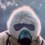 Placeholder: subject = (Yeti in a mask) background = (wildfires, mountains, fires, smoke, disaster)