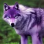 Placeholder: Purple wolf